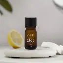 e-oil-limun-sekundarna.webp
