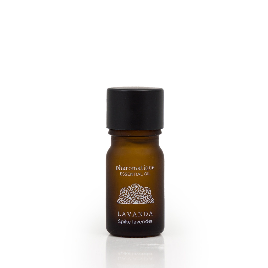 Lavender Essential Oil